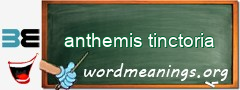 WordMeaning blackboard for anthemis tinctoria